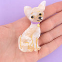 Pinza Chihuahua