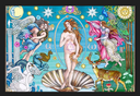 Lamina Venus
