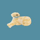 Pinza Golden