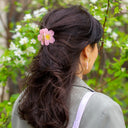Pinza Sakura
