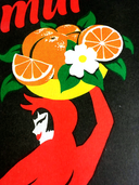 Lamina Vermut