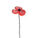 Amapola