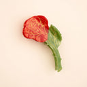 Pinza Rosa