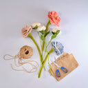 Peonia Pequeña